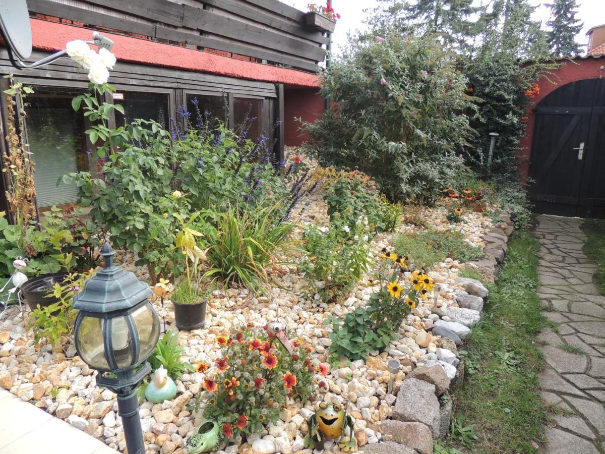 Ferienwohnung Am Hausberg In Радебойл Екстериор снимка